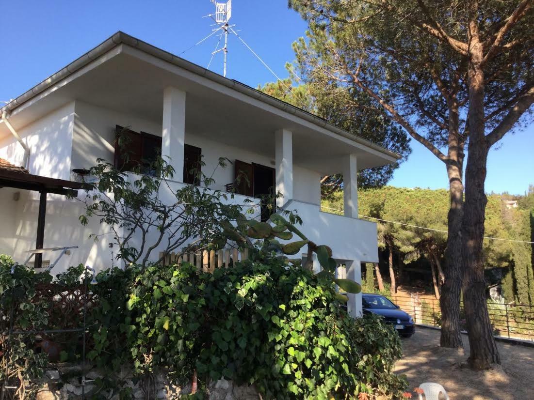 Barabarca